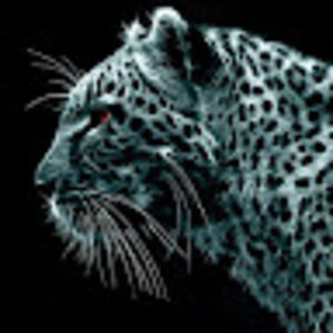 Meet your Posher, Deana